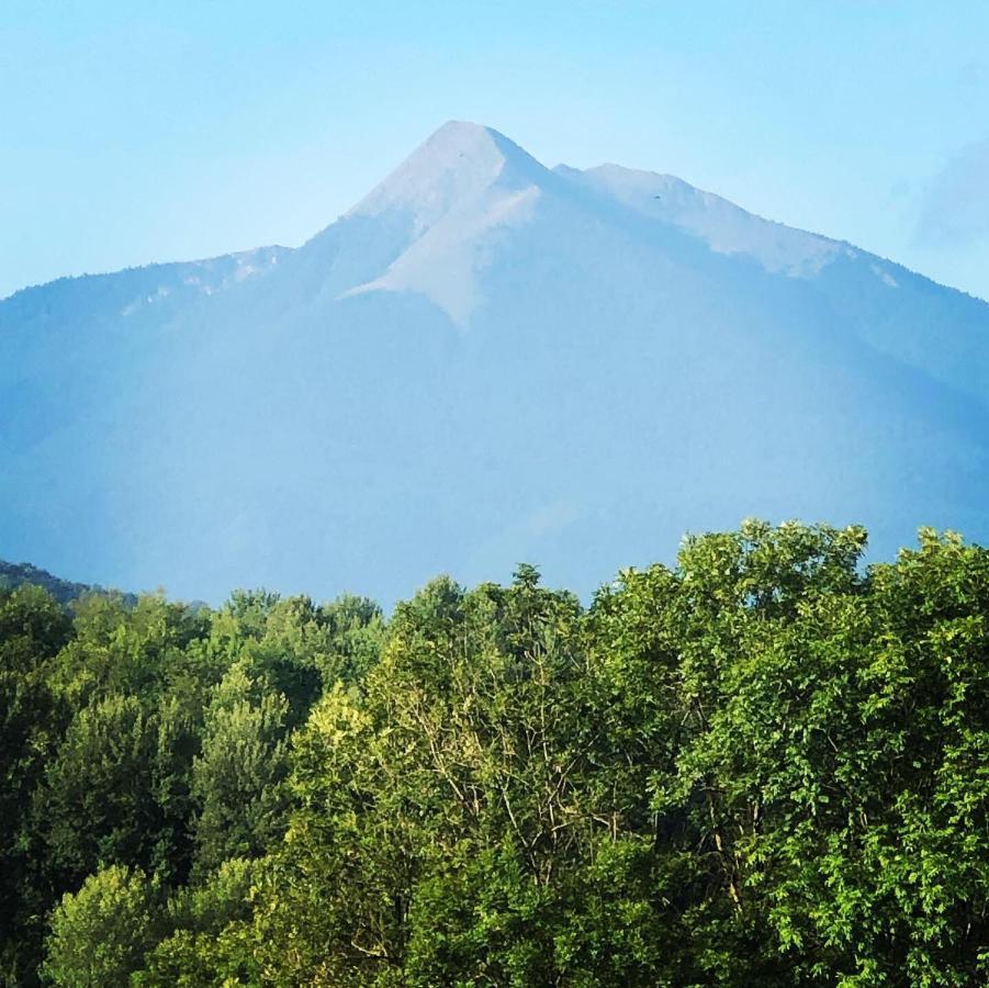 Gite Colombe Des Bois Estadens Екстер'єр фото